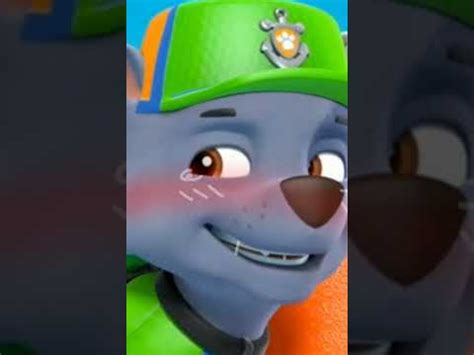 paw patrol rule 34